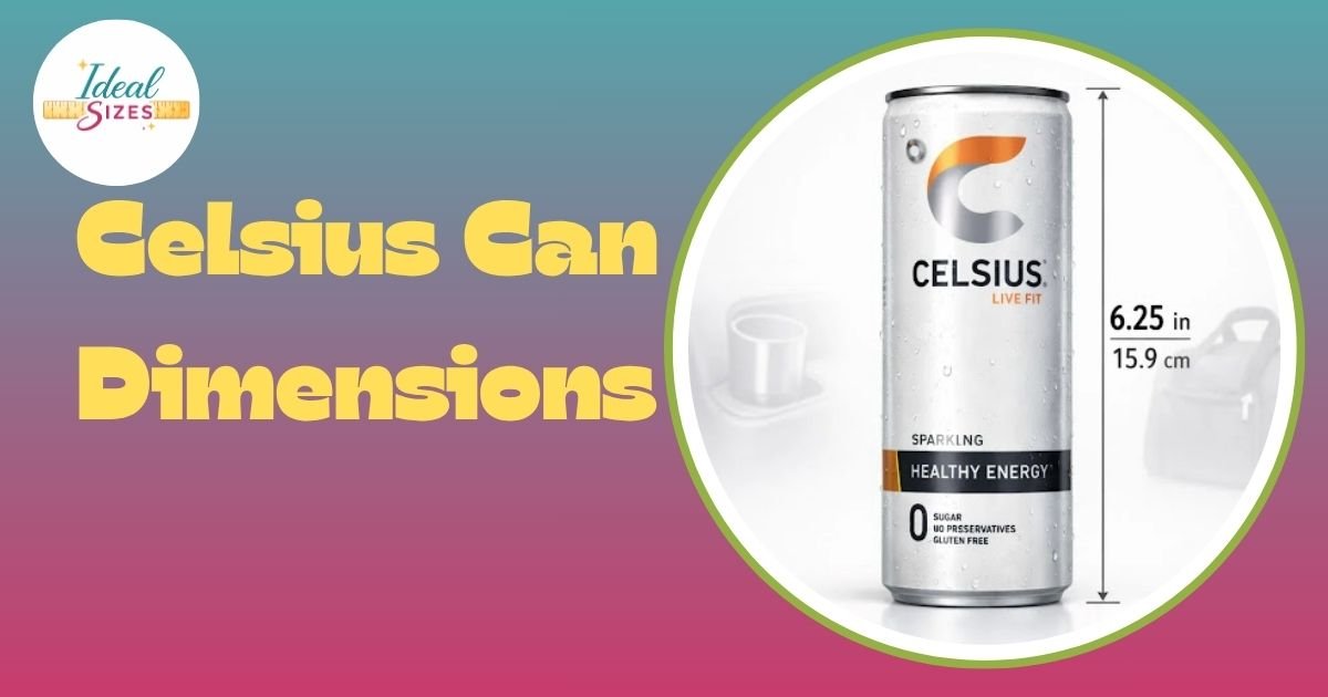Celsius Can Dimensions
