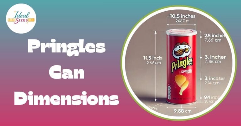 Pringles Can Dimensions