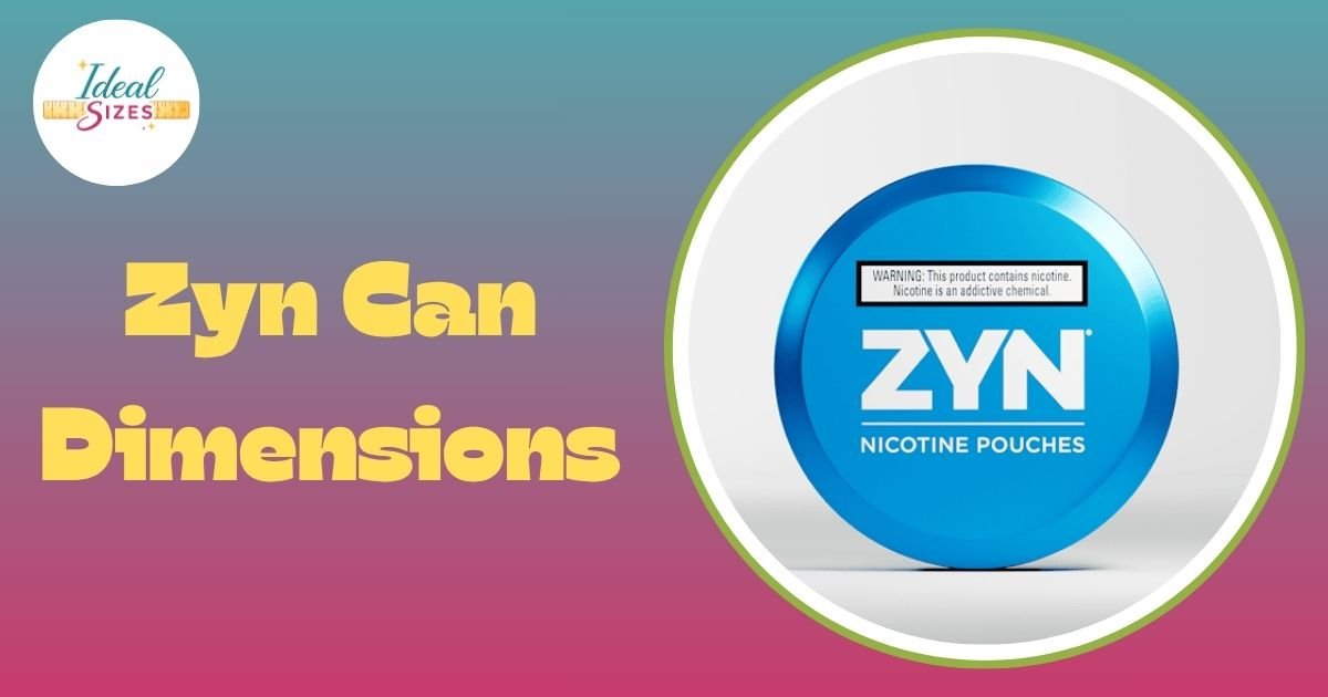Zyn Can Dimensions
