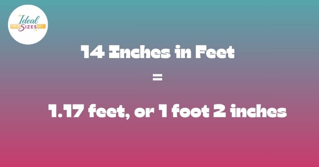 14 Inches in Feet