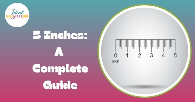 5 Inches