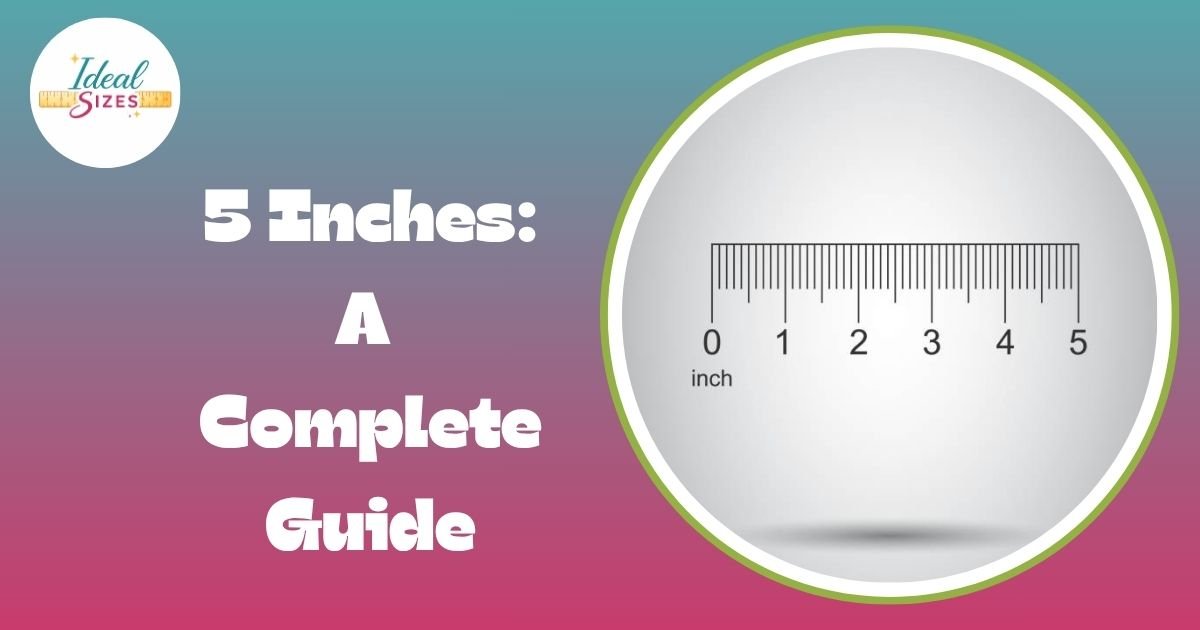 5 Inches