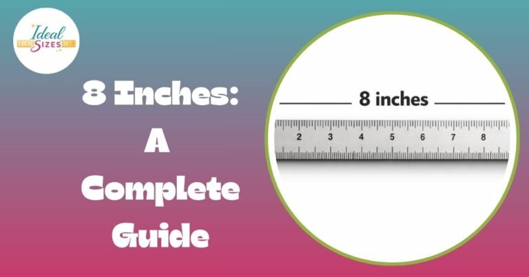 8 Inches