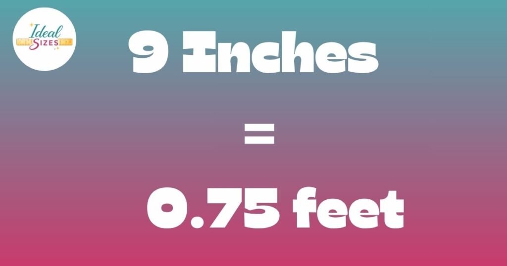 9 Inches in Feet