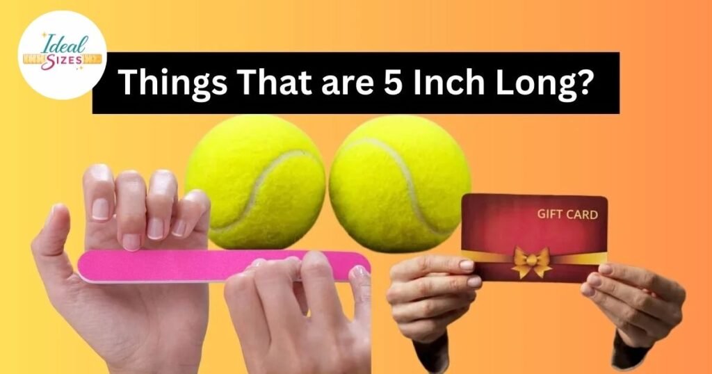 Things That Are 5 Inches Long