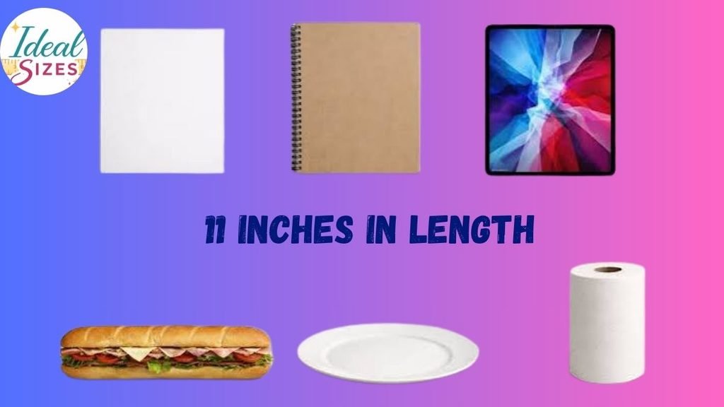 How Long Is 11 Inches