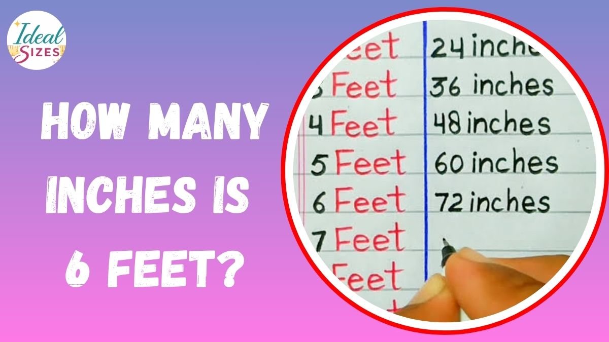 How Many Inches Is 6 Feet