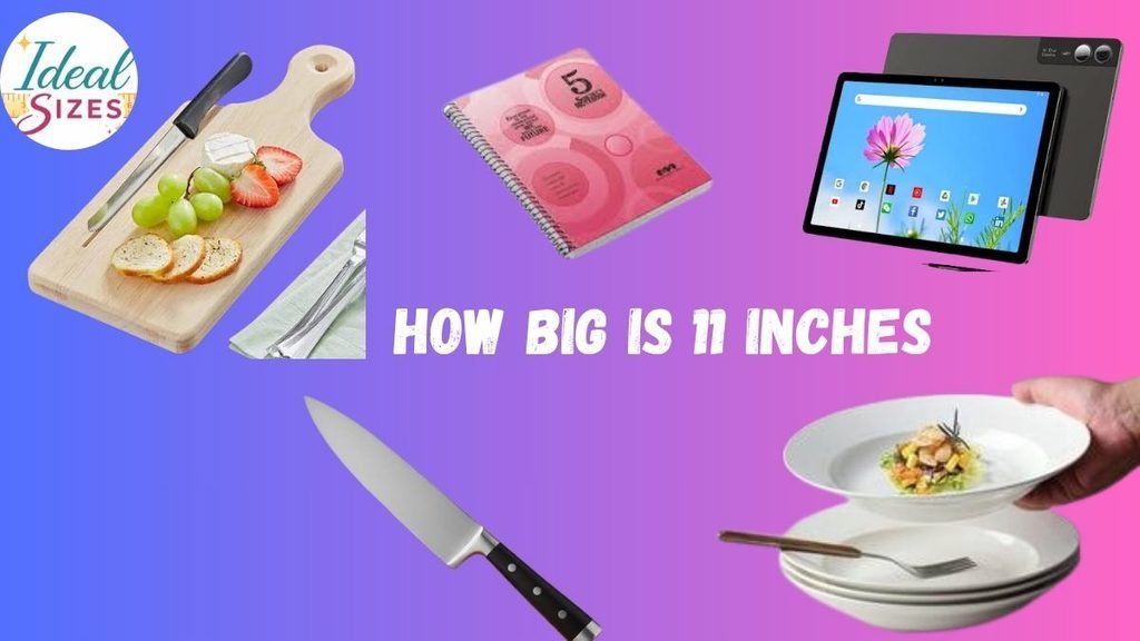 Things That Are 11 Inches Long