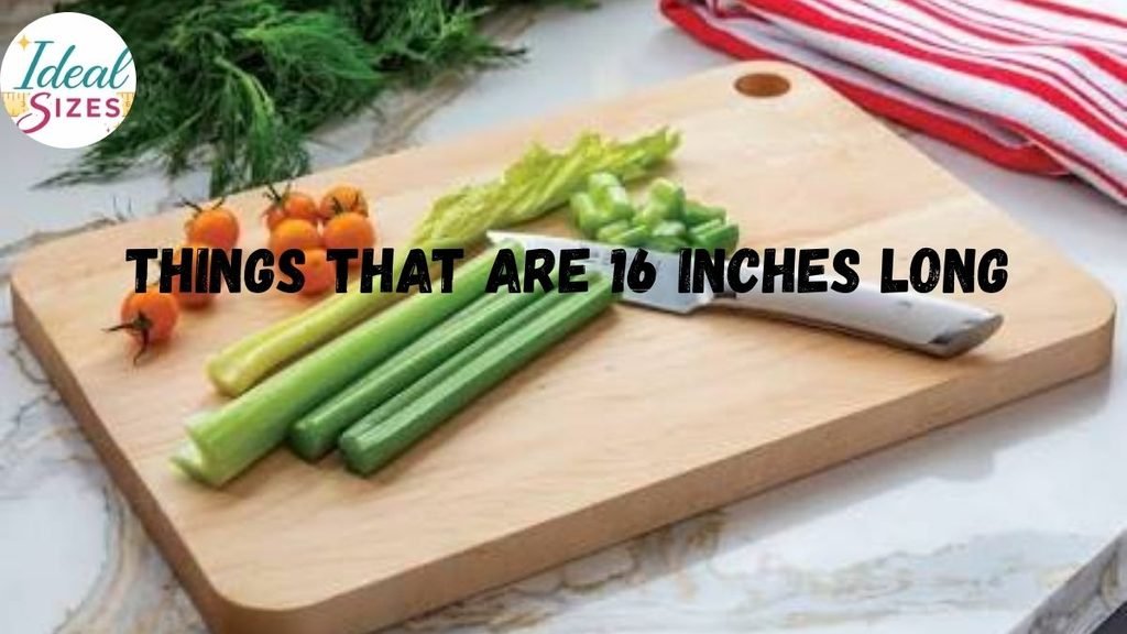 Things That Are 16 Inches Long