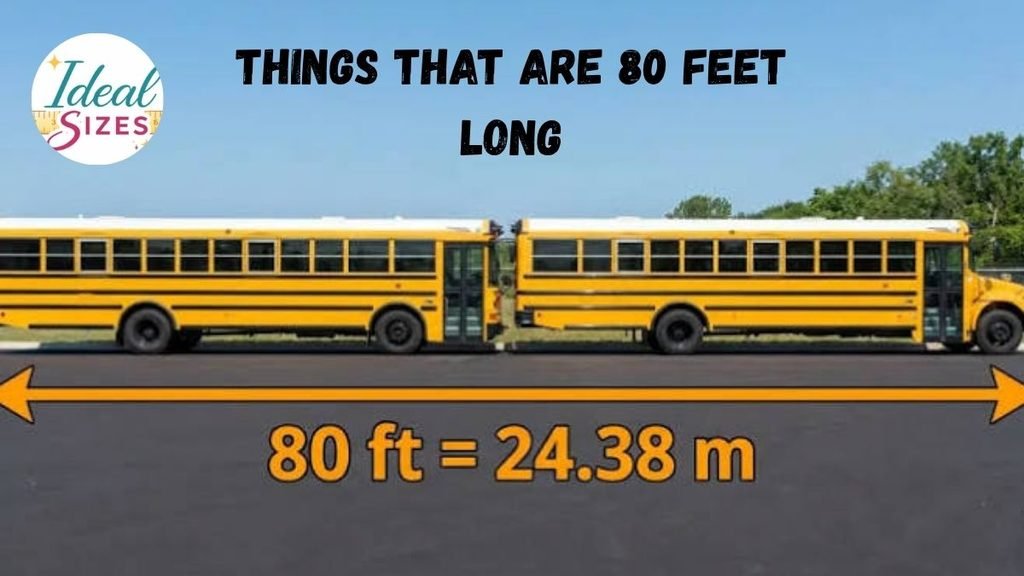 Things That Are 80 Feet Long