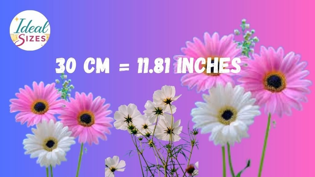 30 Cm in Inches