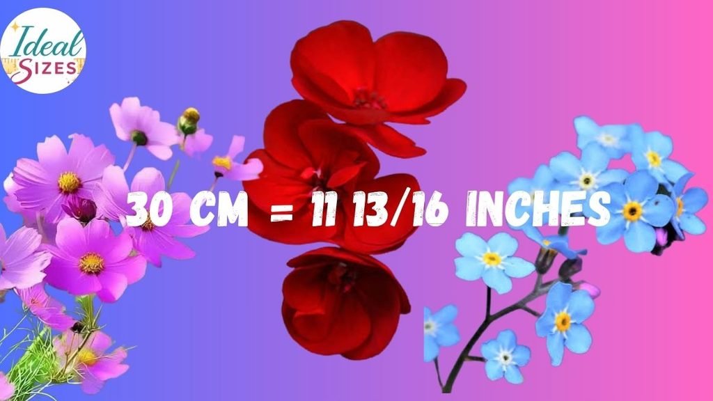30 cm to Inches in Fraction Form