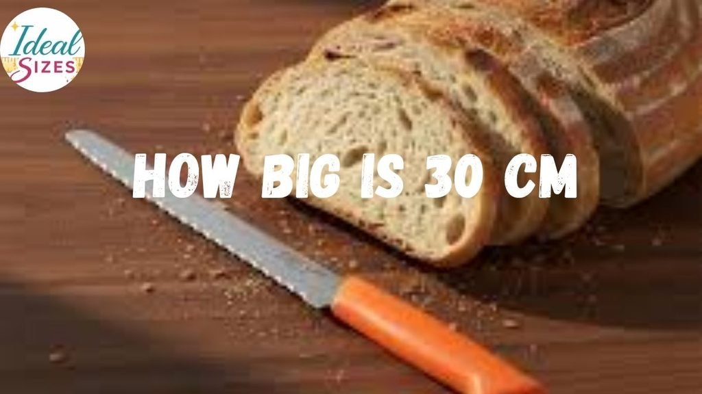 How Big Is 30 cm in Real Life