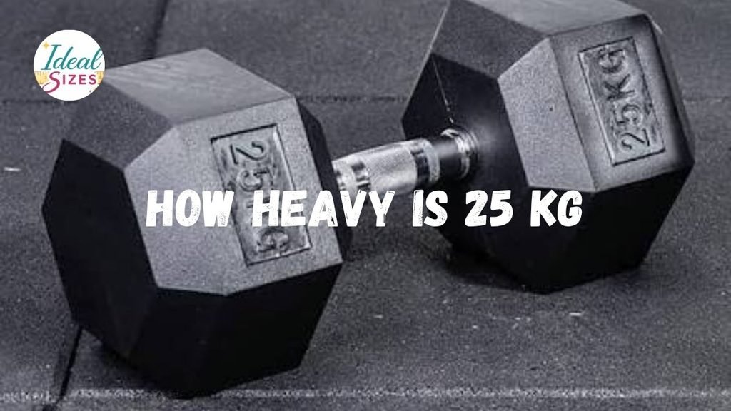 How Heavy Is 25 kg