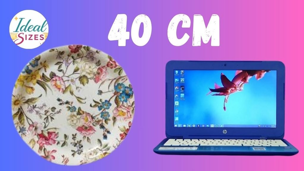 What Does 40 cm Look Like
